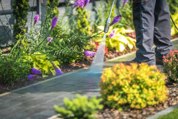 Best Patio and Deck Pressure Washing  in China Lake Acres, CA